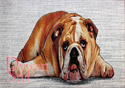 Dywan
Koloreo Buldog leżący (5778)
