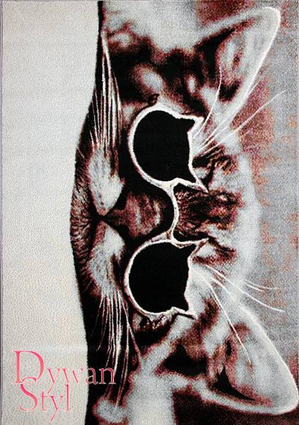 Dywan
                            Koloreo Wyluzowany kotek (6114)