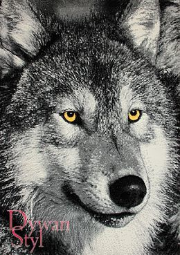 Dywan Pastello 11395/190 Wilk 