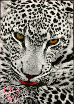 Dywan Pastello 11122/190 