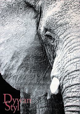 Dywan Flash Modern Elephant szary (3574)