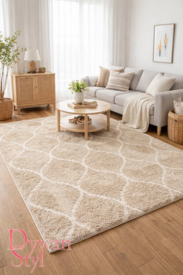 Dywan Shaggy Lenor Beżowy 